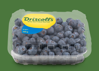 Blåbær Driscoll's 